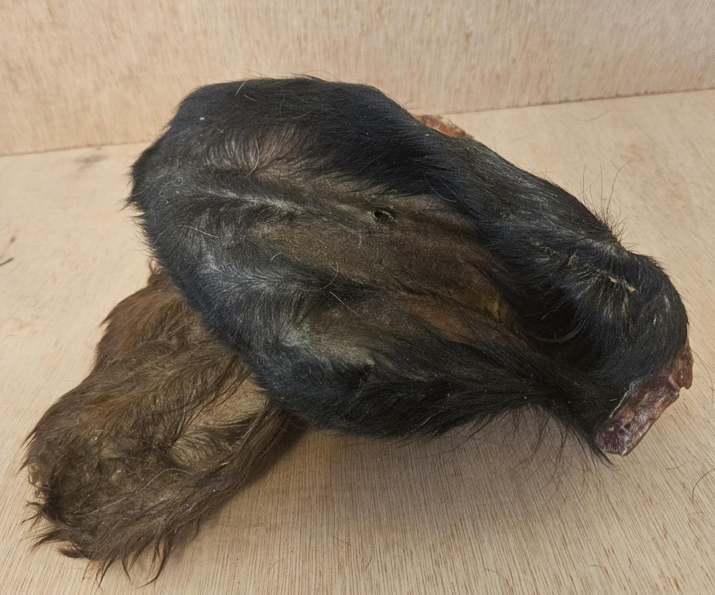 Natural Beef Ears With Fur Dog Treat