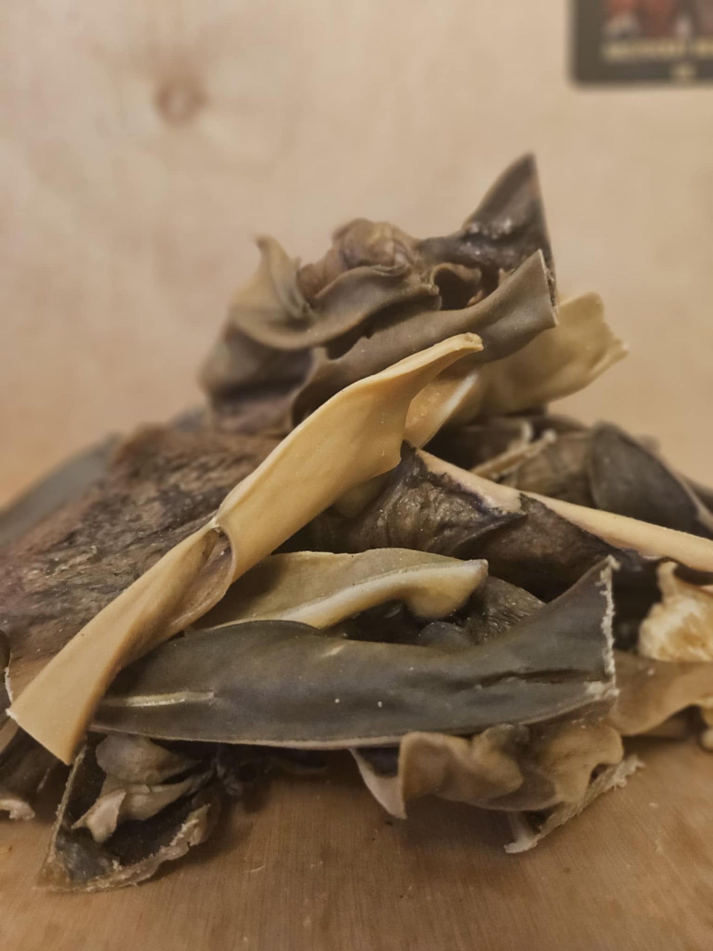 Natural Camel Skin Dog Treat Chew