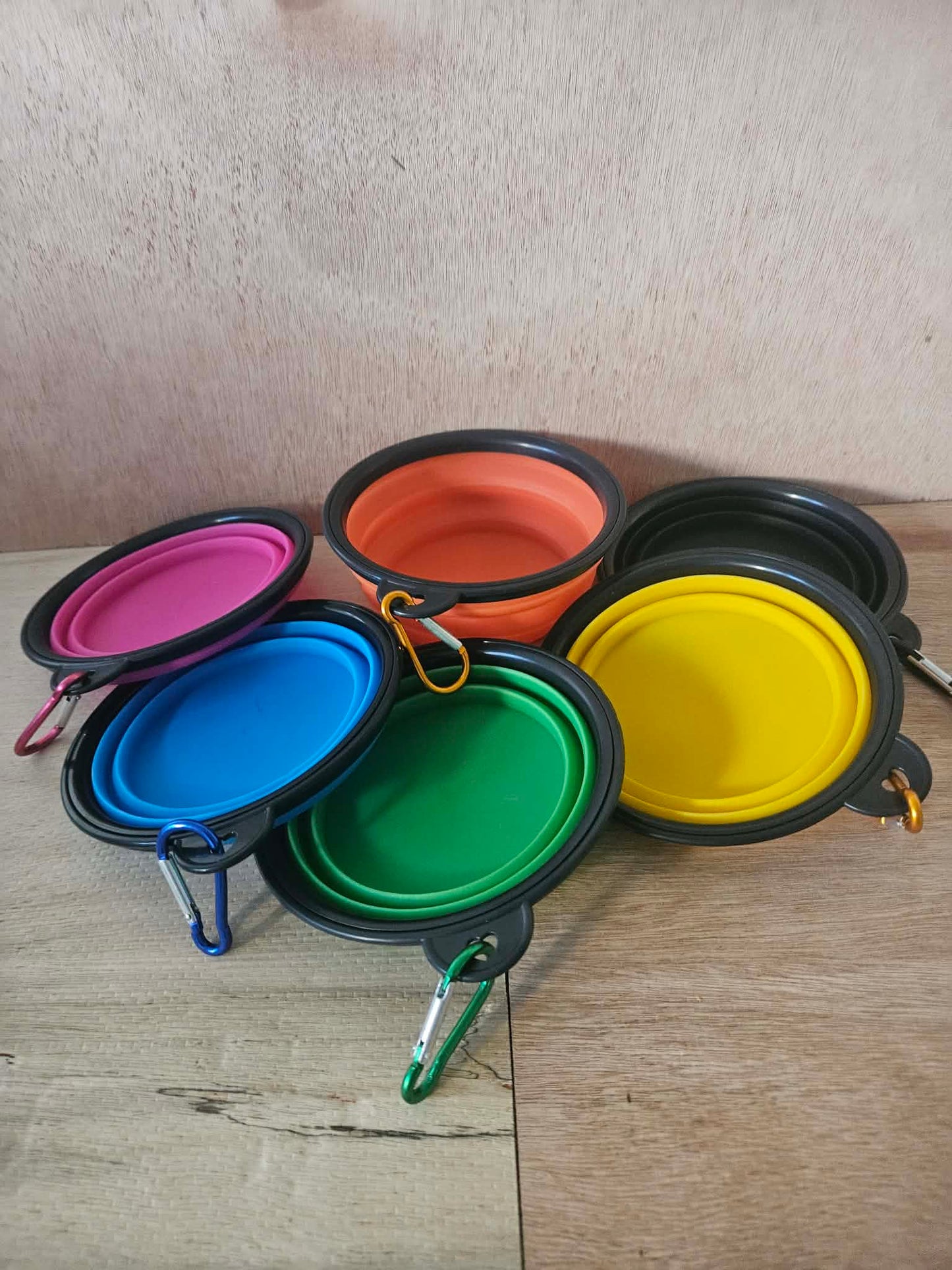 Collapsible Travel Dog Bowls