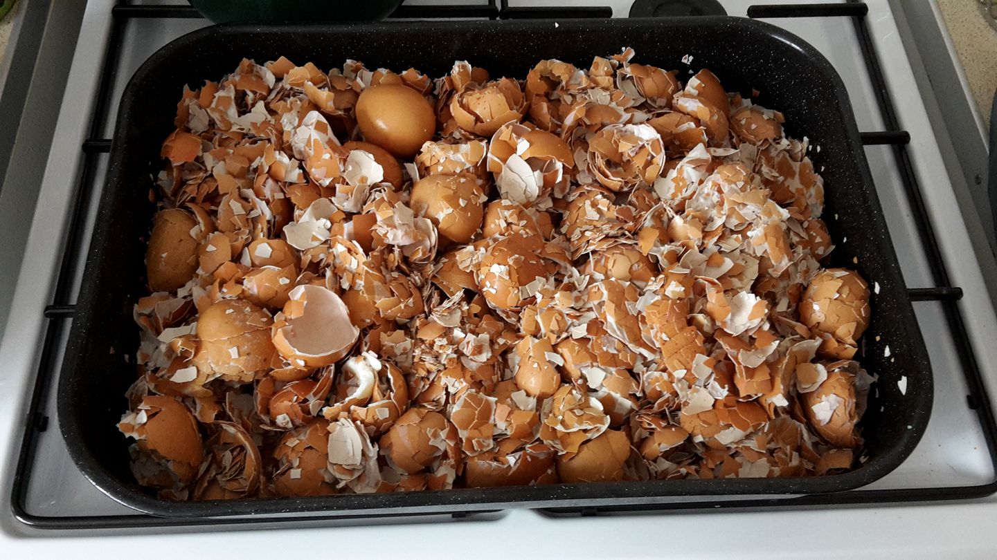 Natural Membrane Eggshell Powder Topper