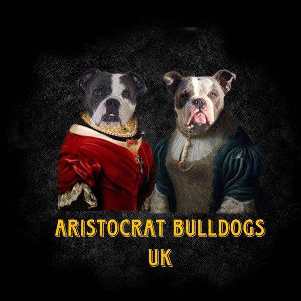 Aristocrat Bulldogs Uk