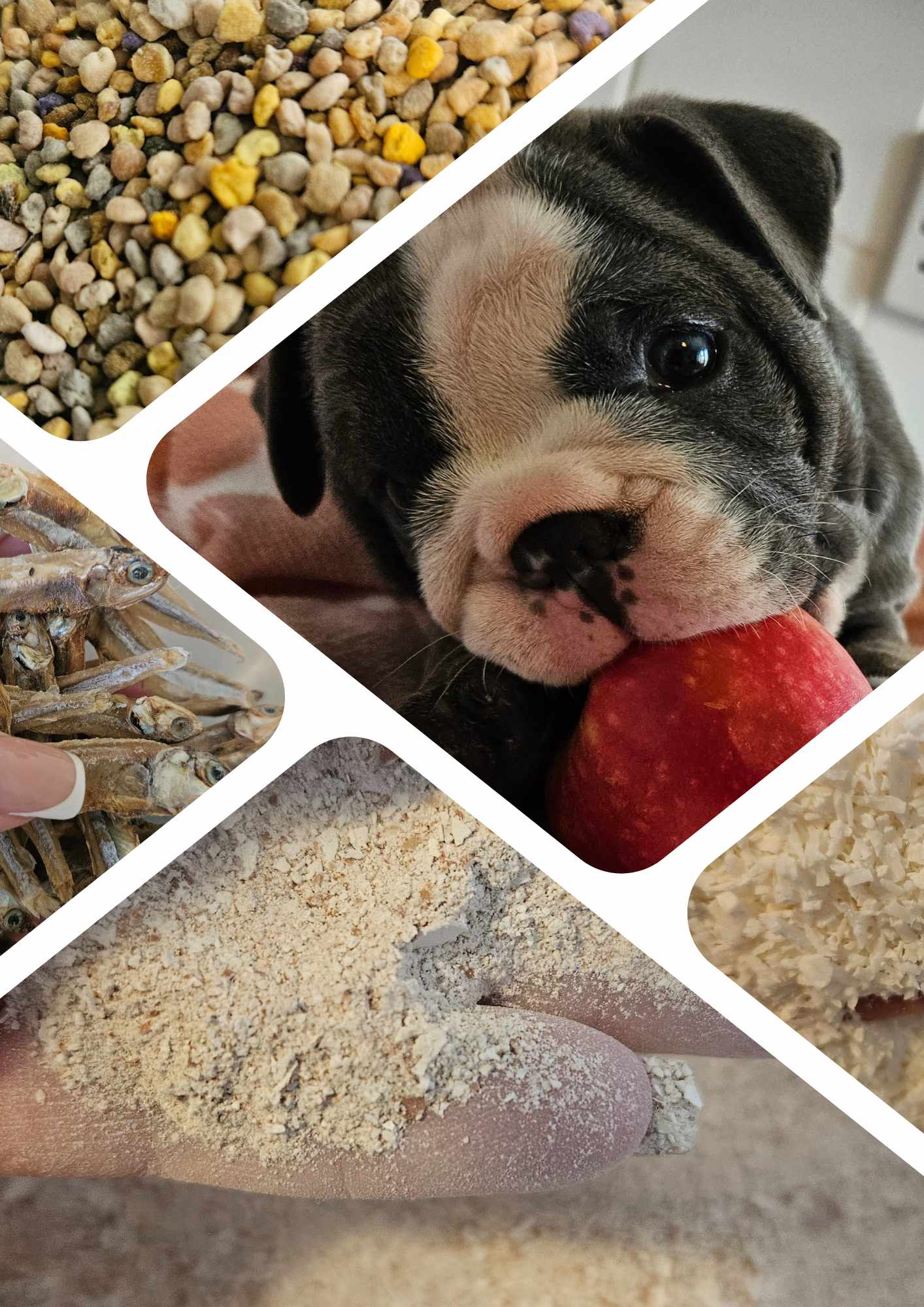 Organic Protein Packed Supplement Topper