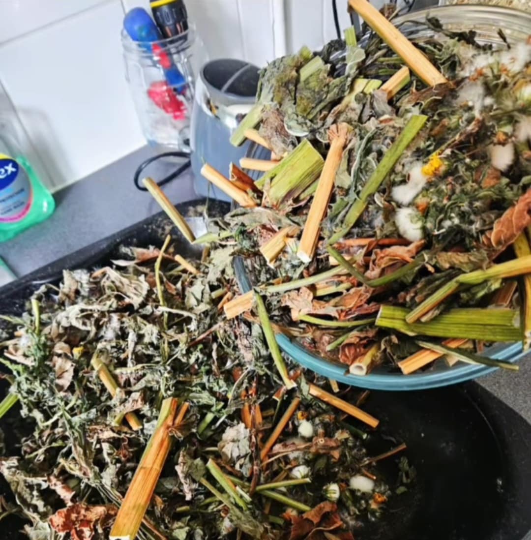 Dandelion Herb Topper