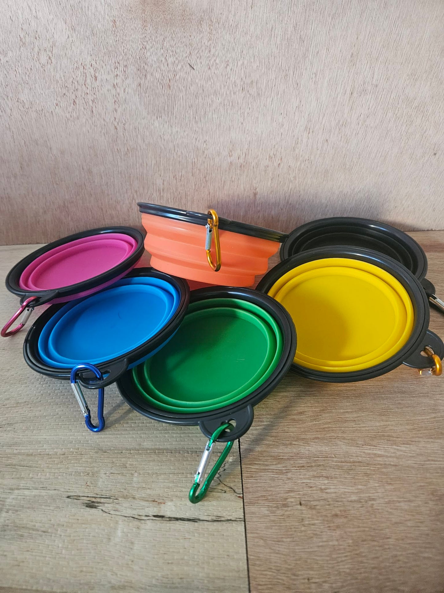 Collapsible Travel Dog Bowls