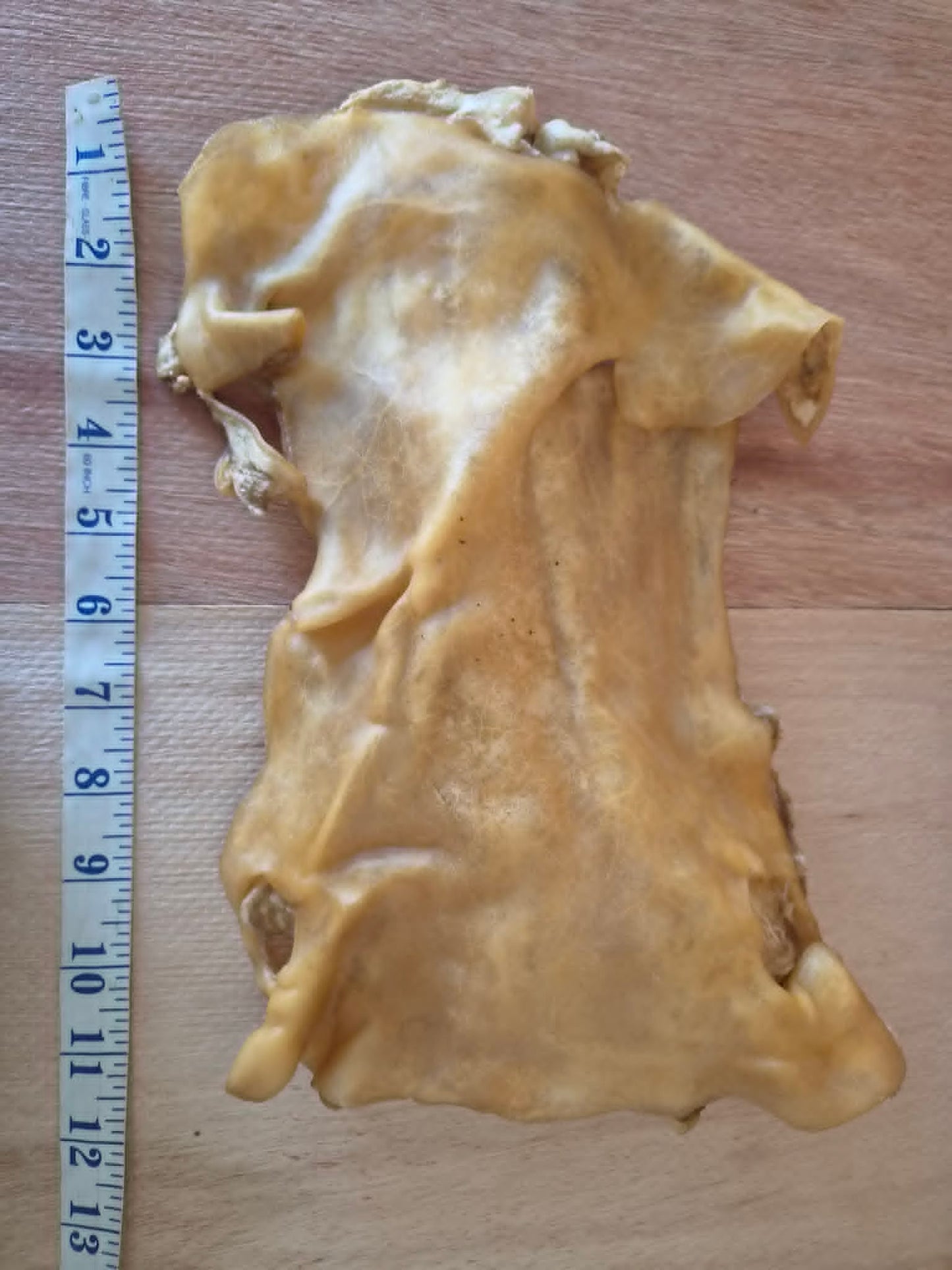Beef Skin Plates Natural Dog Treats Chew