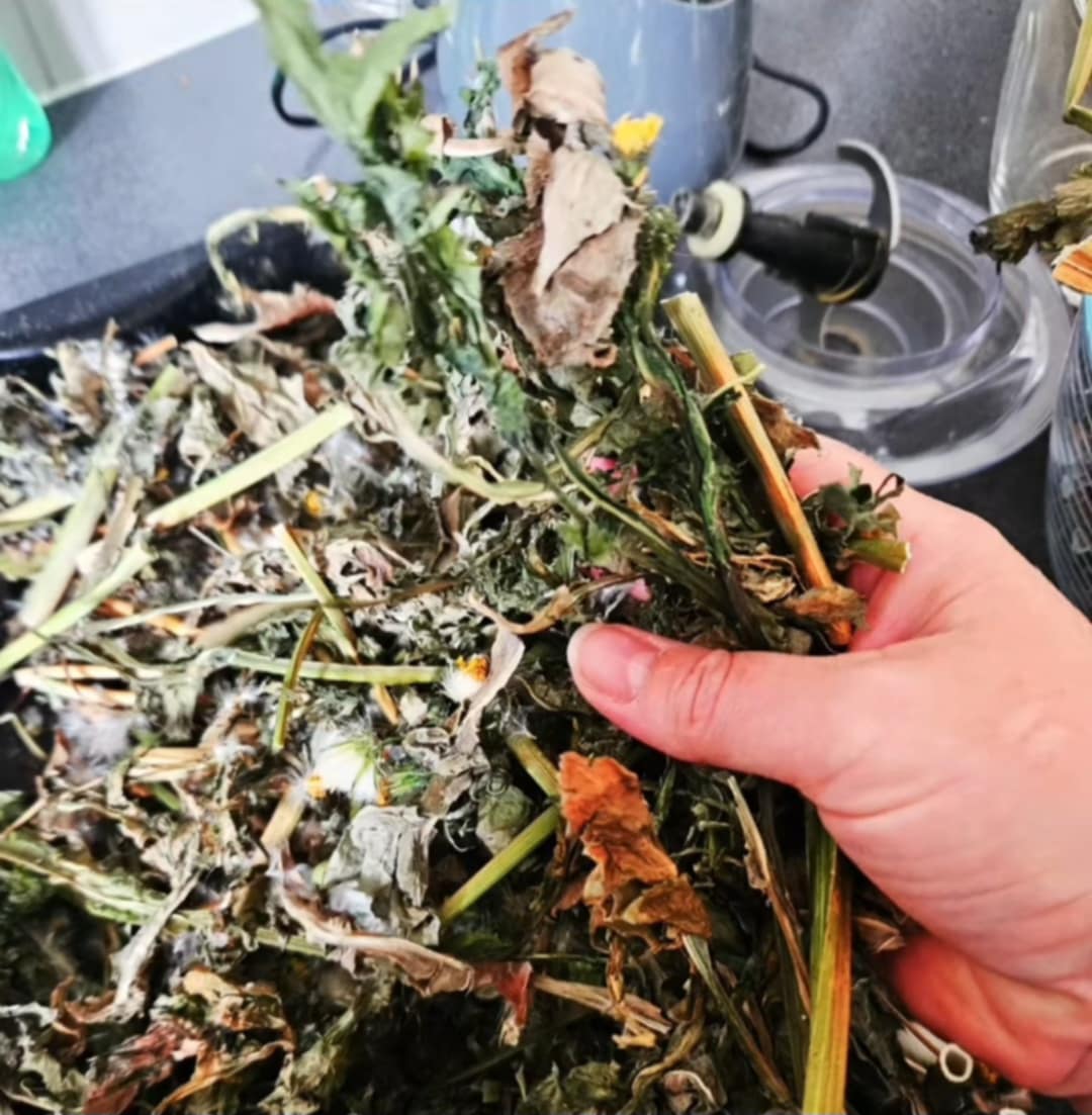 Dandelion Herb Topper