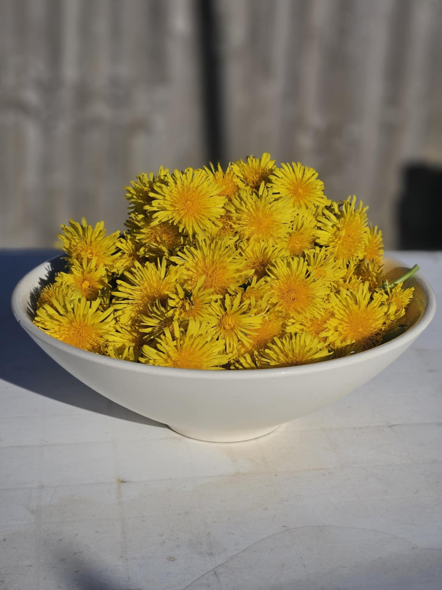 Dandelion Herb Topper