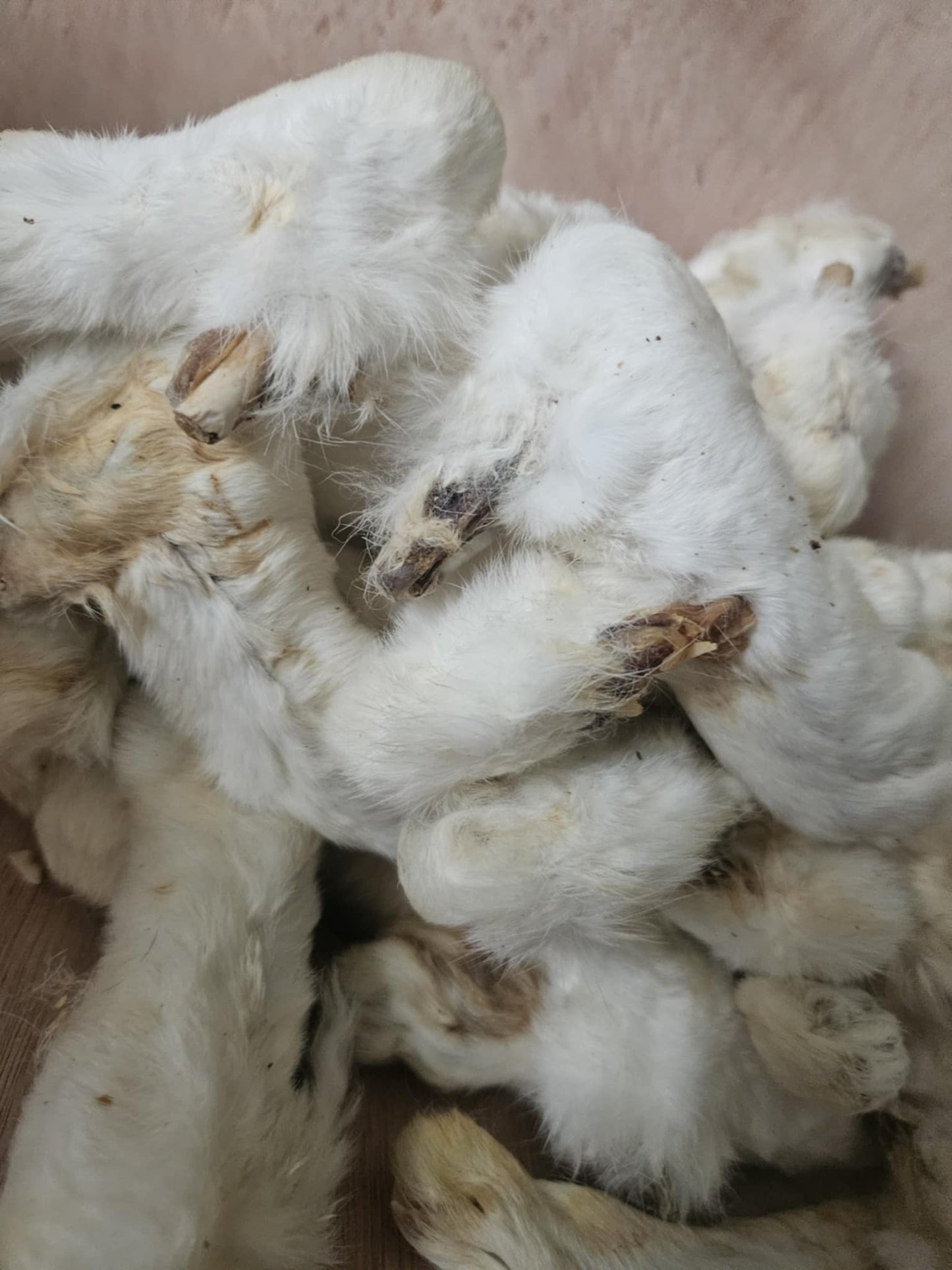 Natural Air Dried Rabbit Feet with Fur Dog Treat Chew
