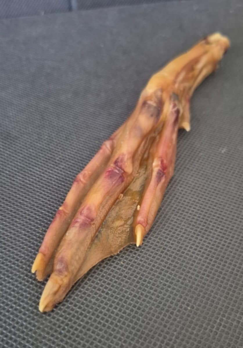 Natural Duck Feet Treats