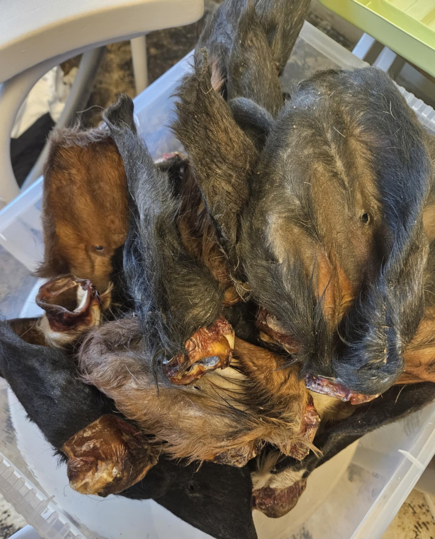 Natural Beef Ears With Fur Dog Treat