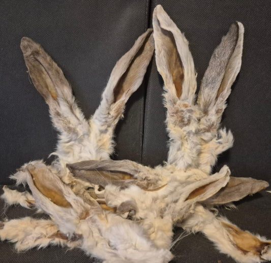 Natural Rabbit Ears
