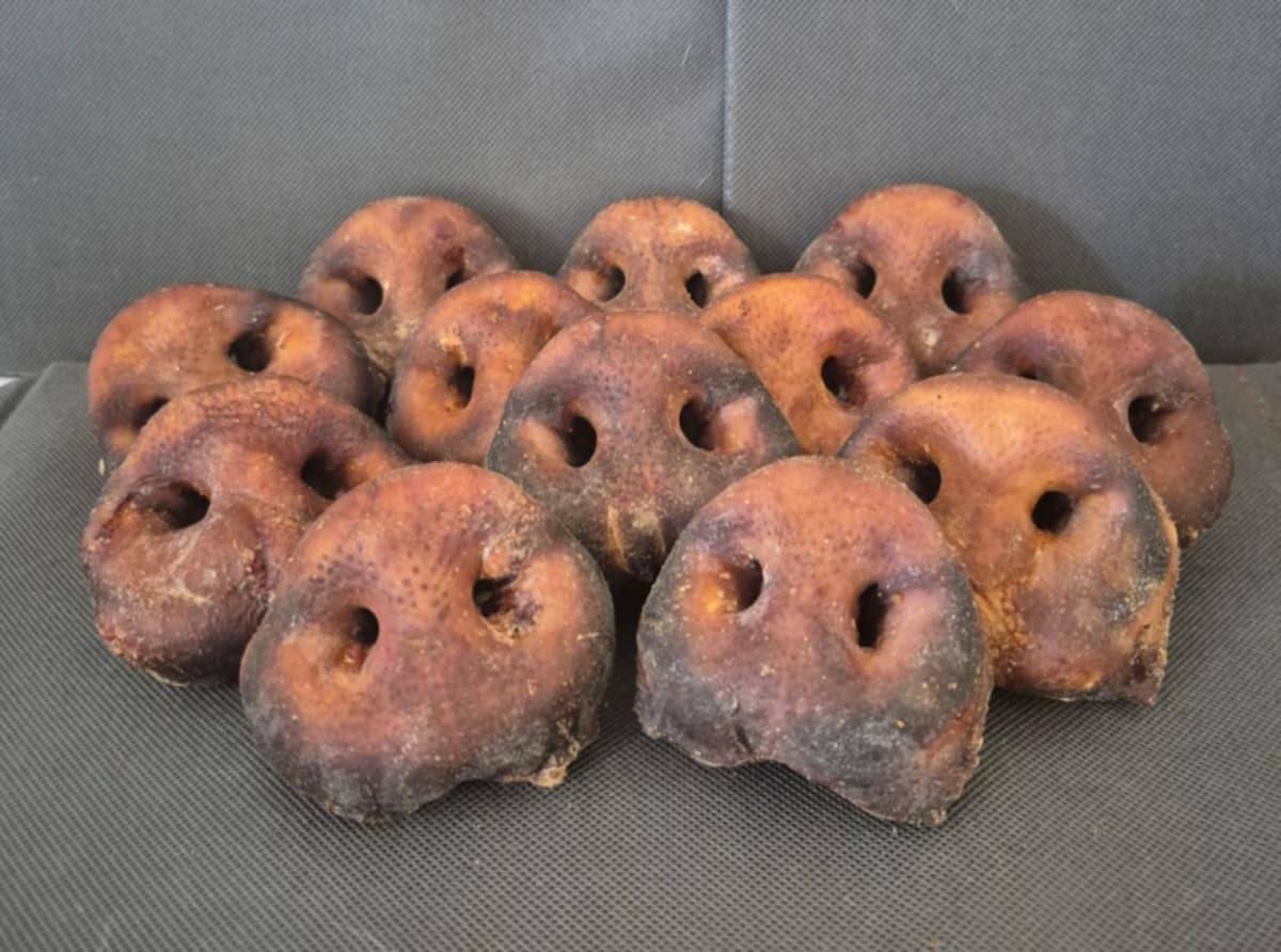 Natural Pig Snouts