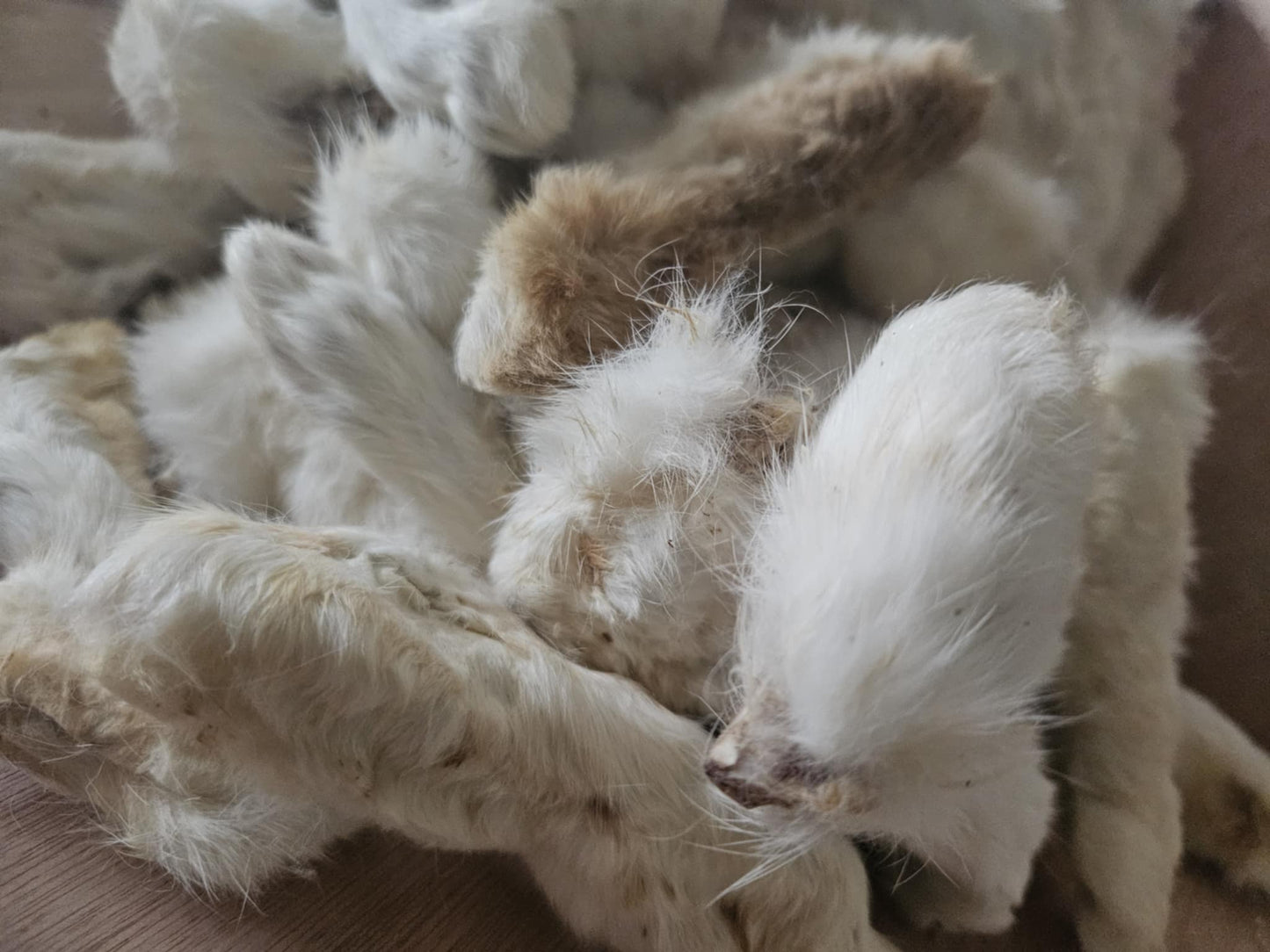 Natural Air Dried Rabbit Feet with Fur Dog Treat Chew