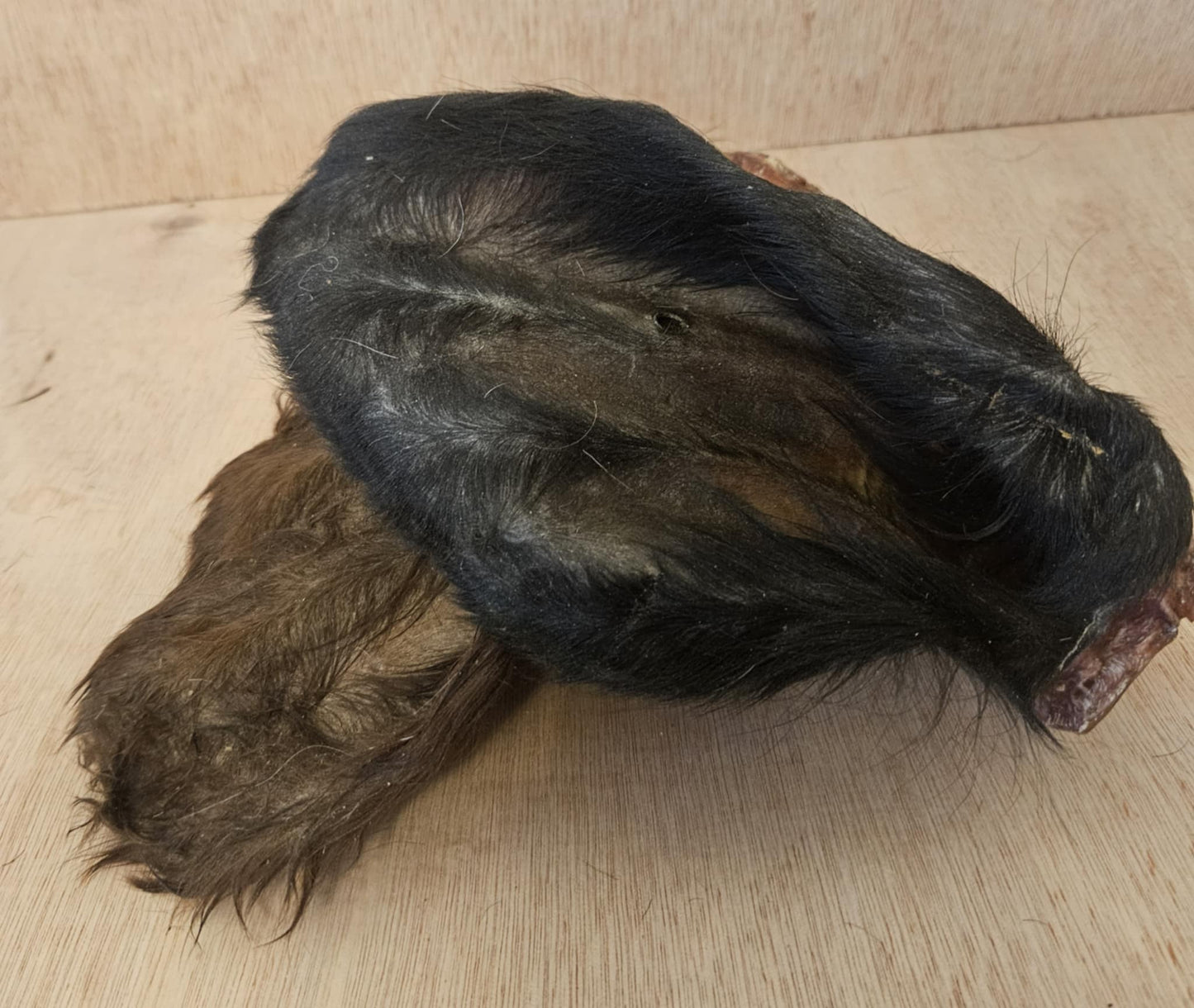 Natural Beef Ears With Fur Dog Treat