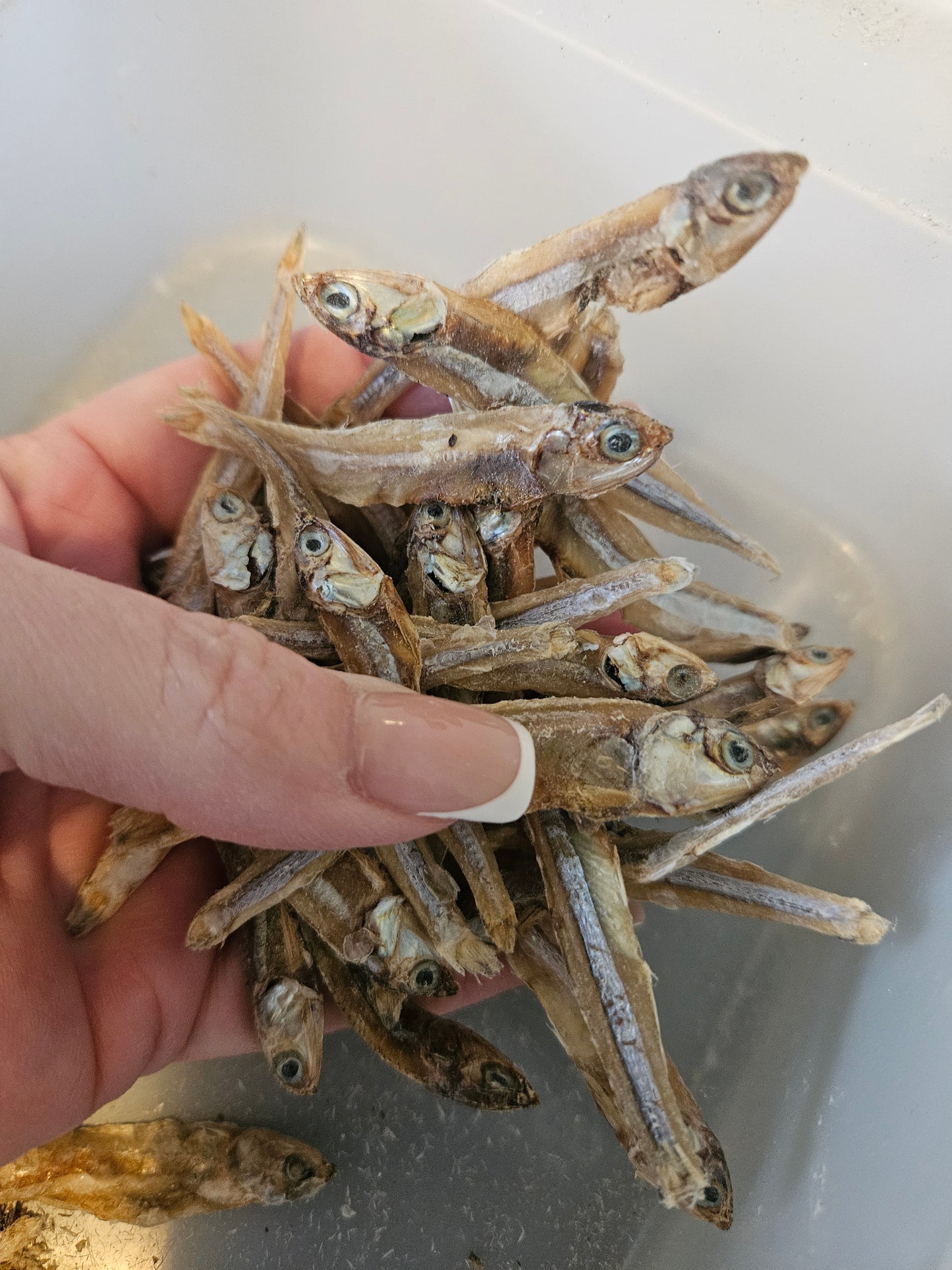 Dry Sprats Powder Topper